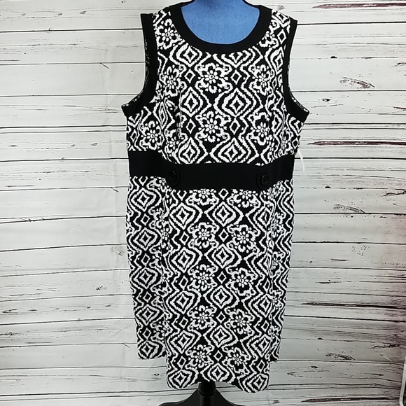 plus size suits dress barn